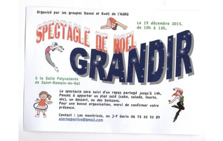 Spectacle Noël 2015