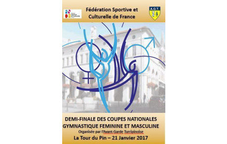 Demi-finales des Coupes Nationales de Gymnastique